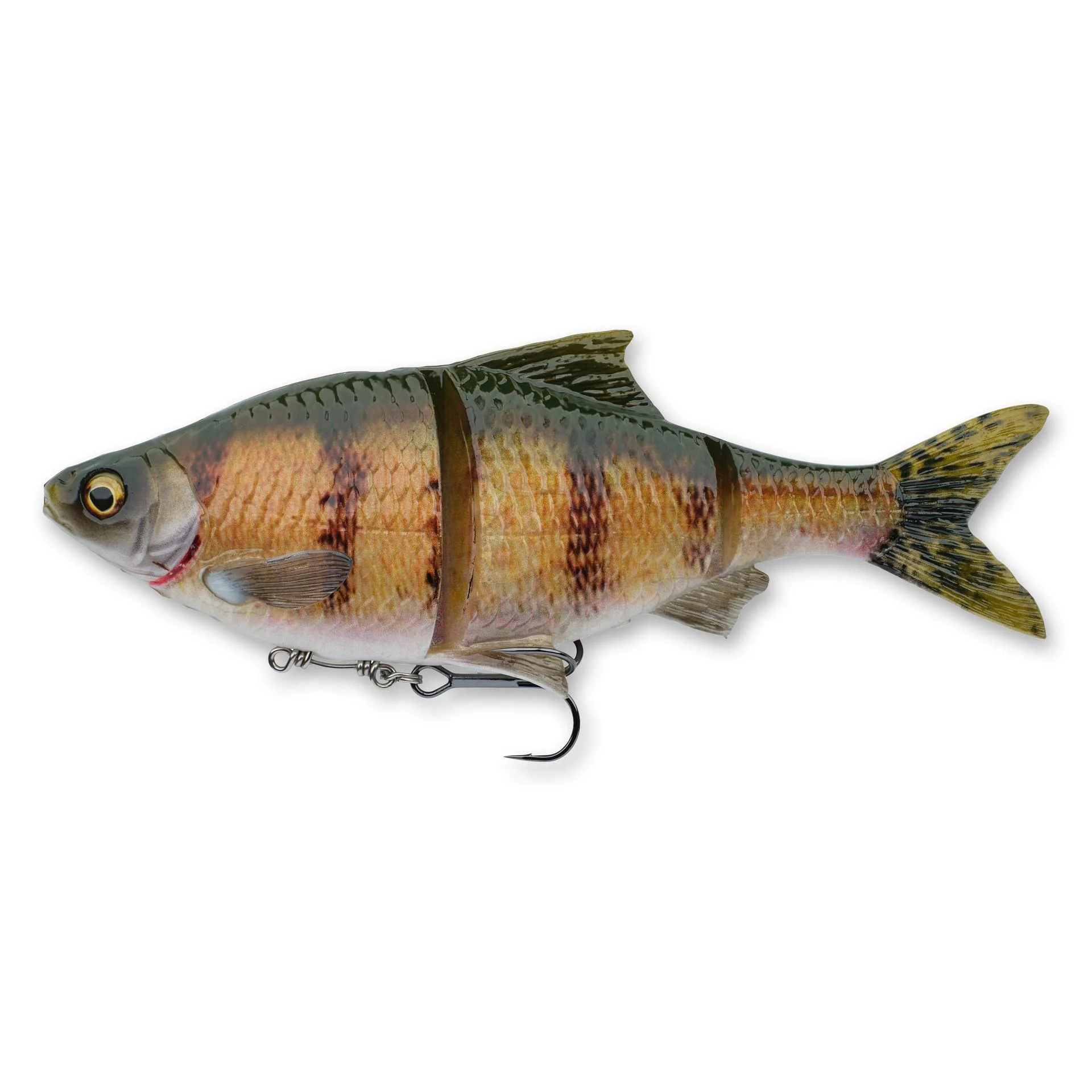 3D Gizzard - Image 20