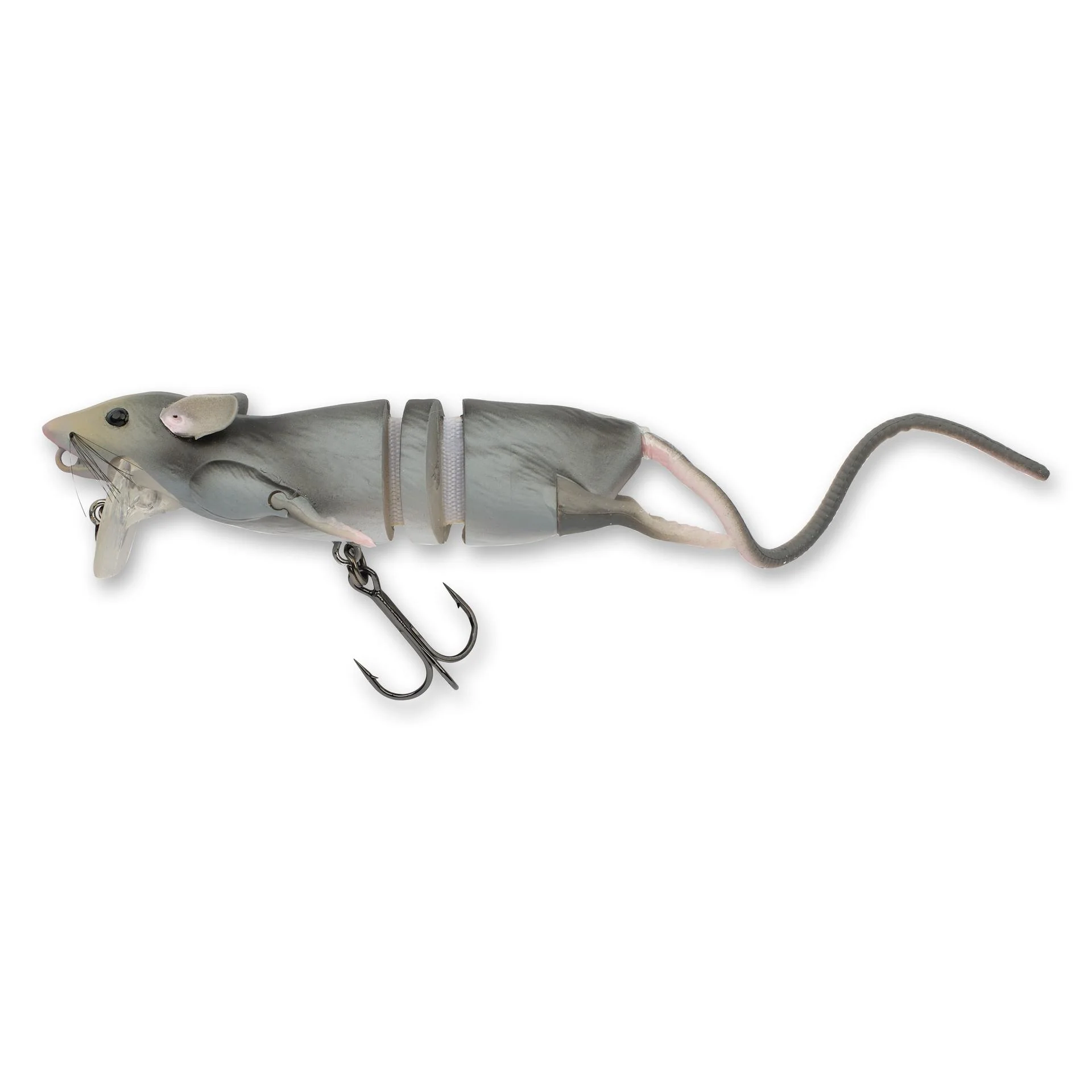 3D Rat - Image 12