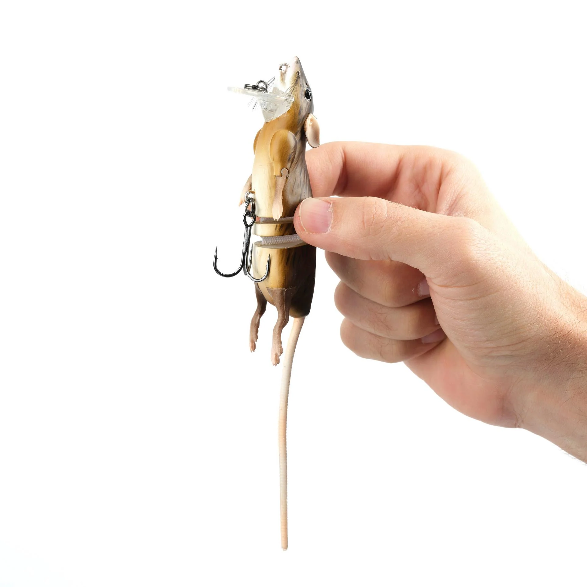 3D Rat - Image 14