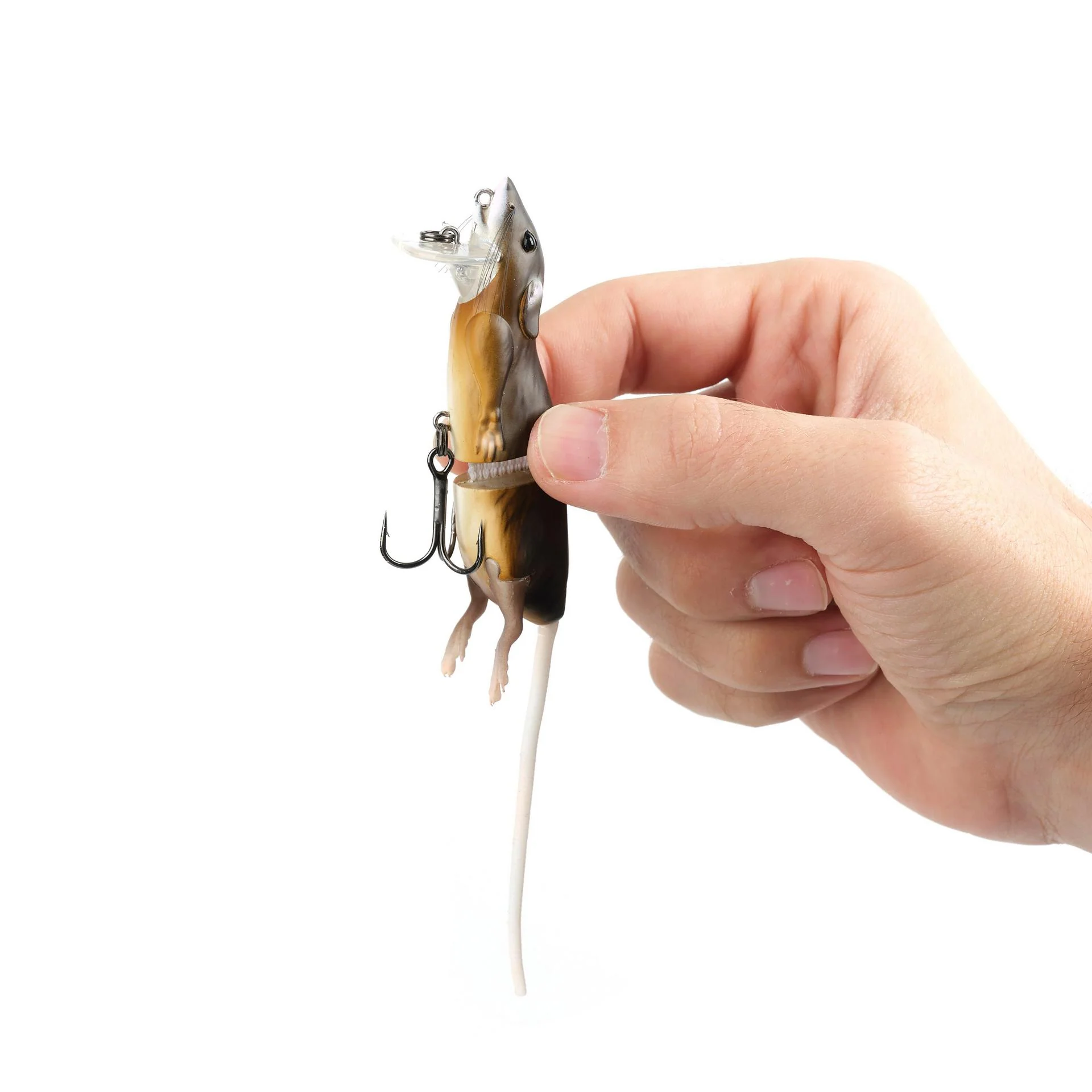 3D Rat - Image 16