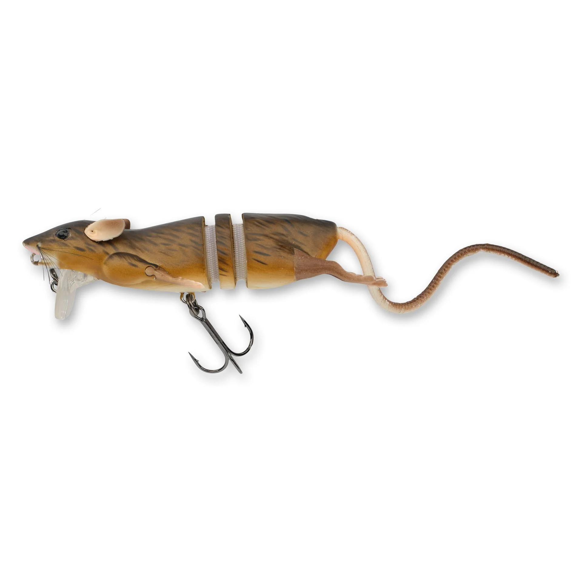 3D Rat - Image 17