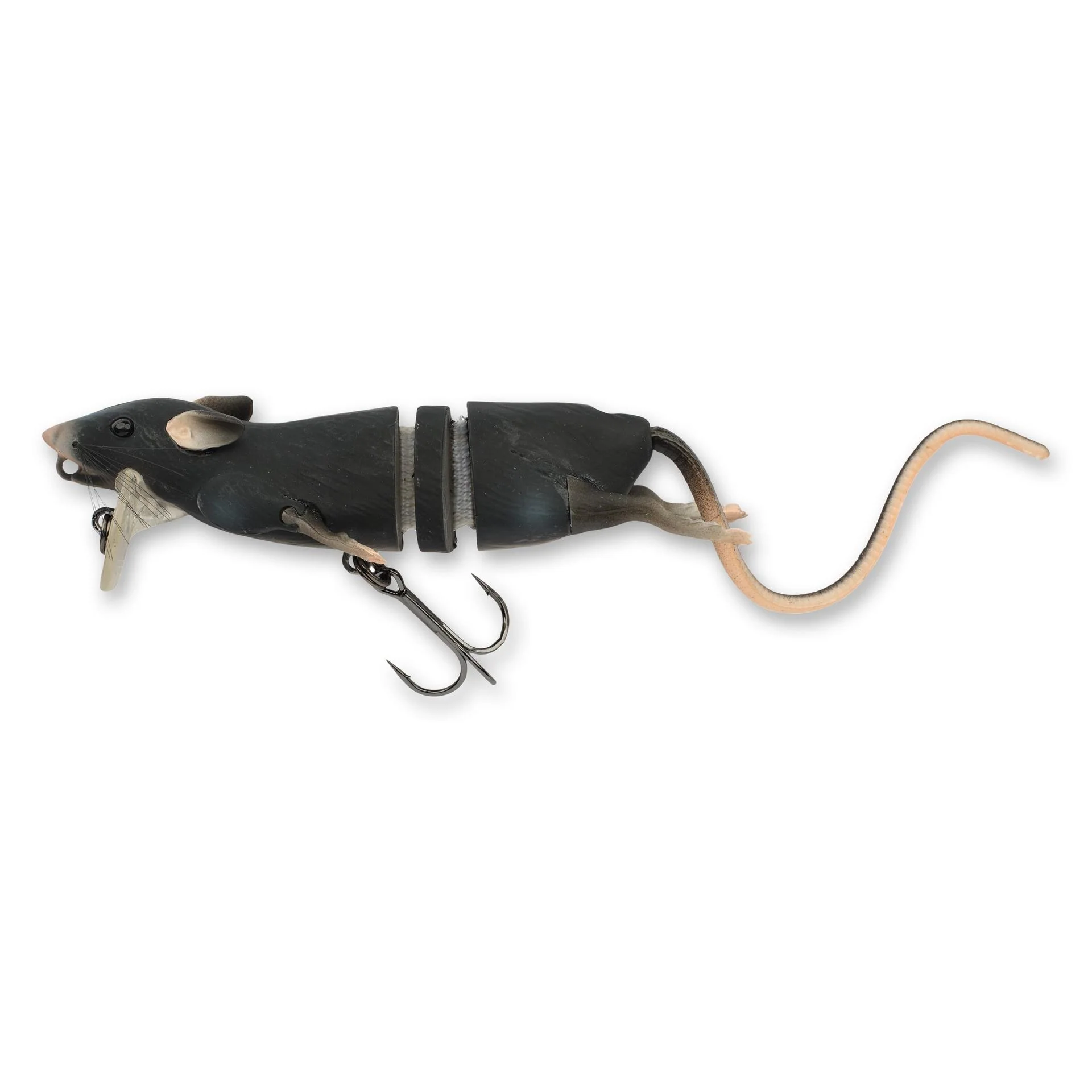 3D Rat - Image 19