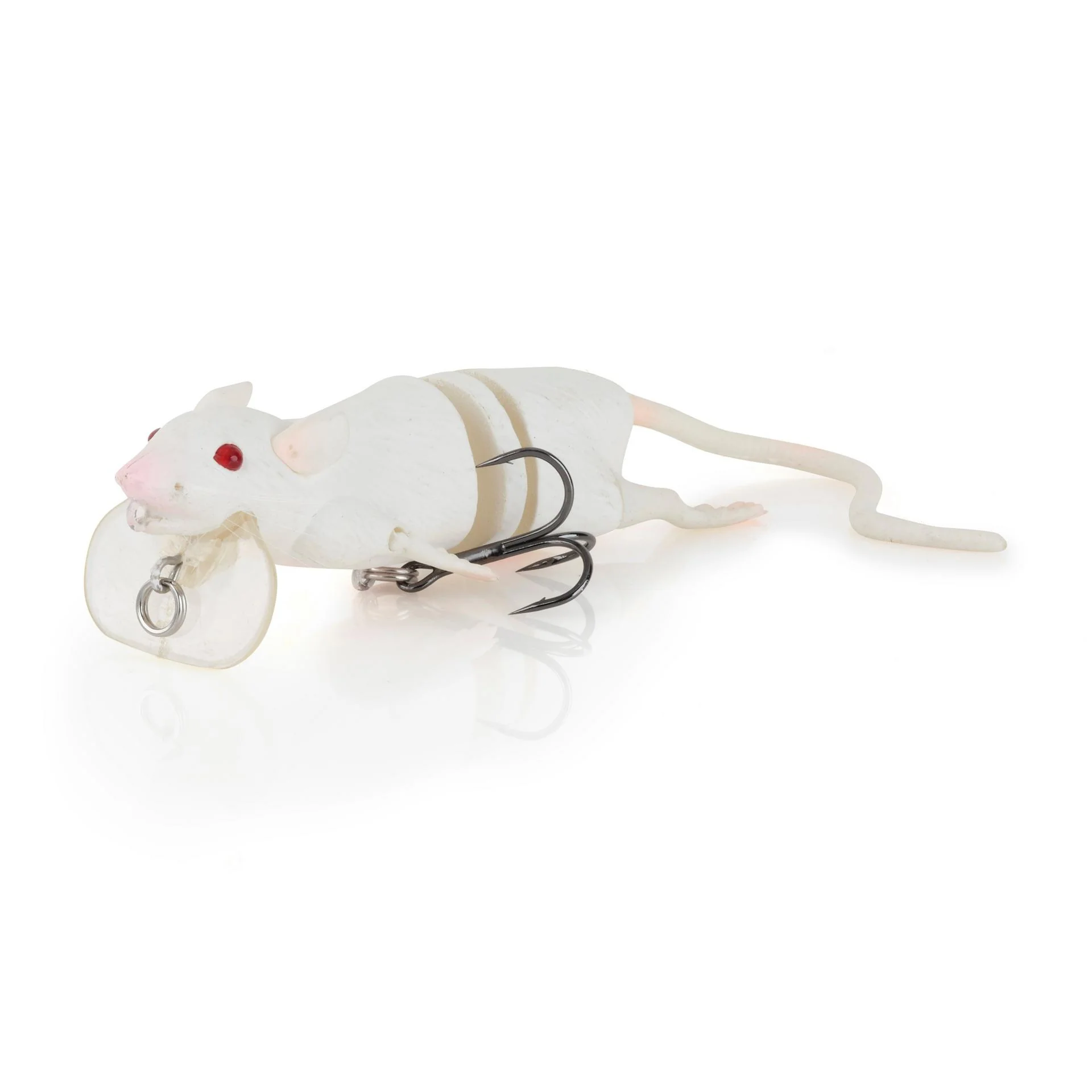 3D Rat - Image 4