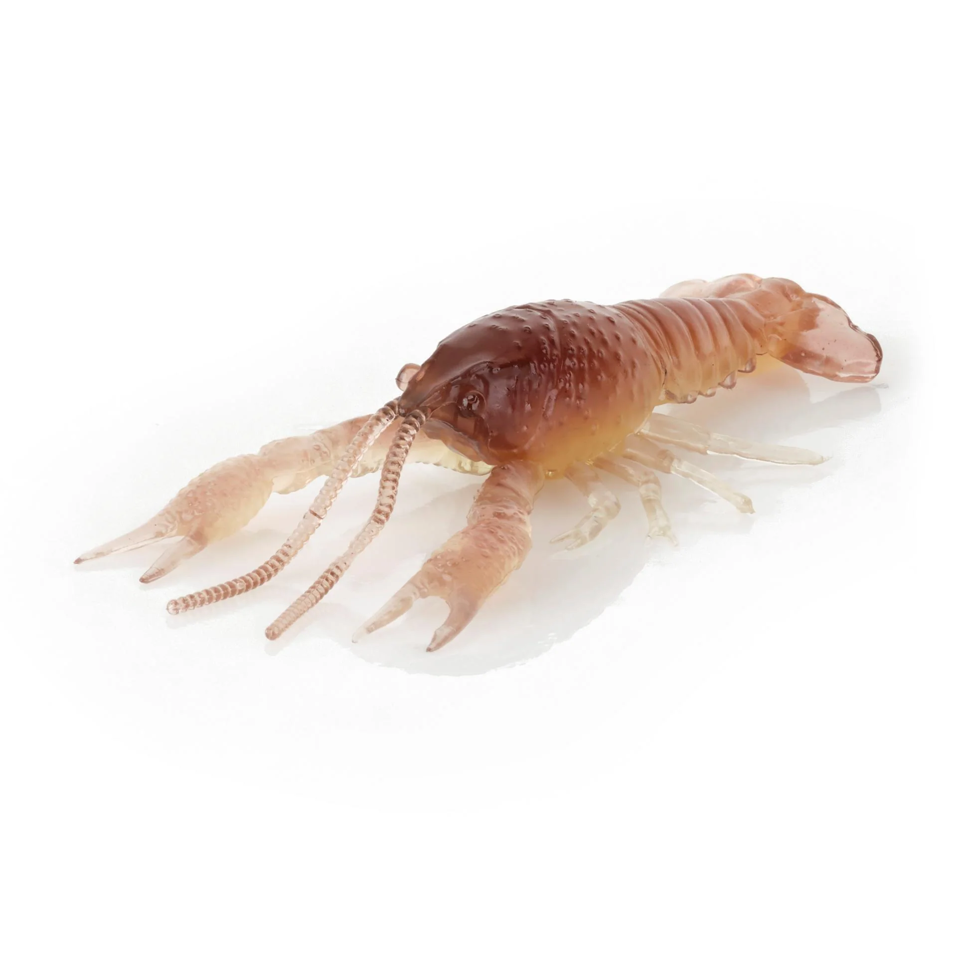 4D Craw - Image 10