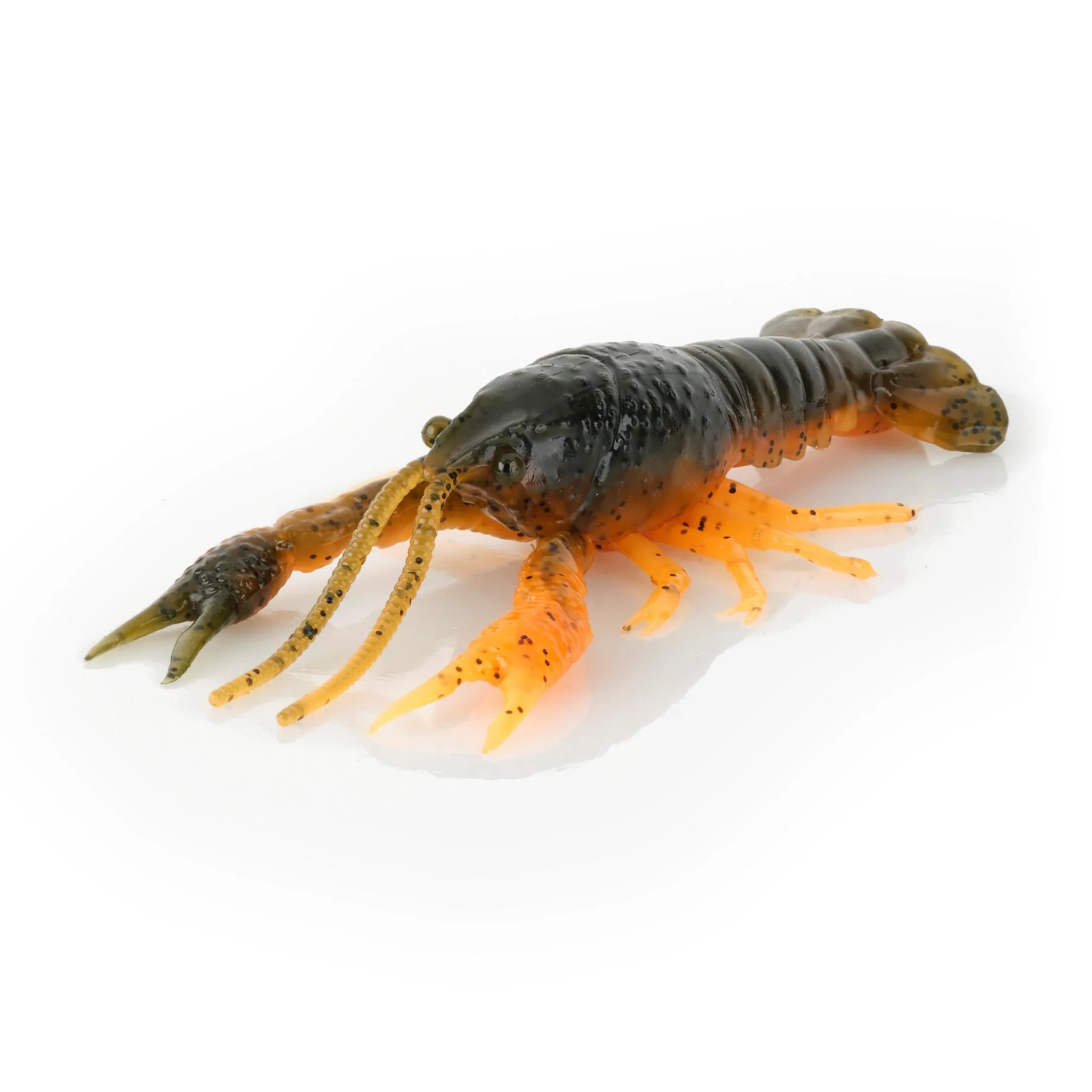 4D Craw - Image 13