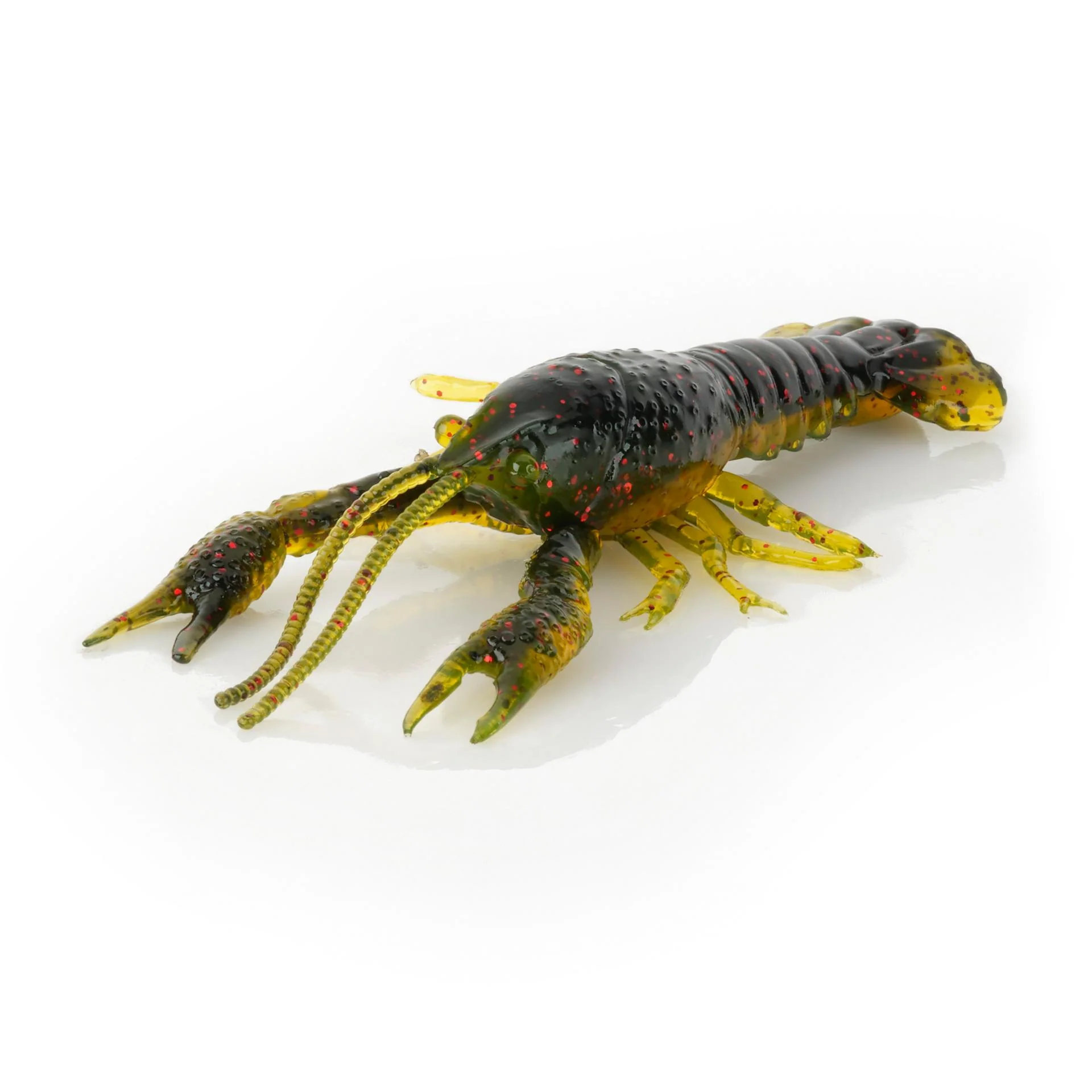 4D Craw - Image 15