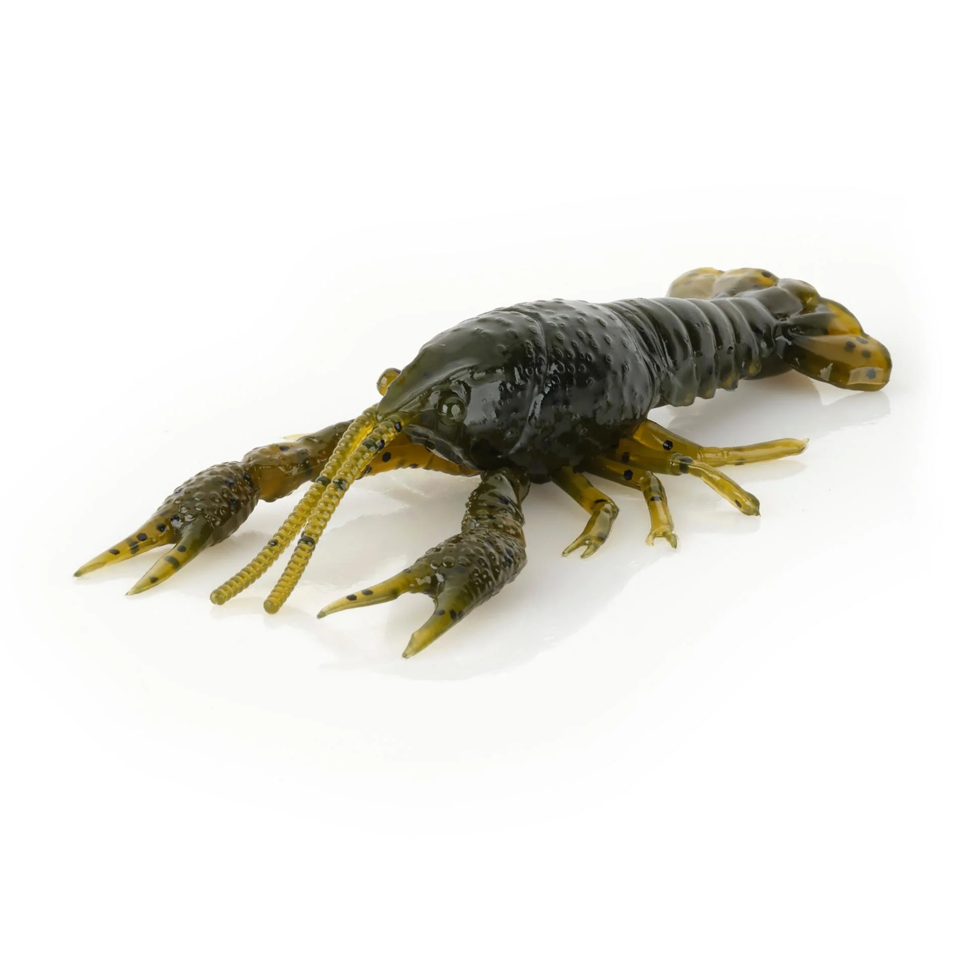 4D Craw - Image 5