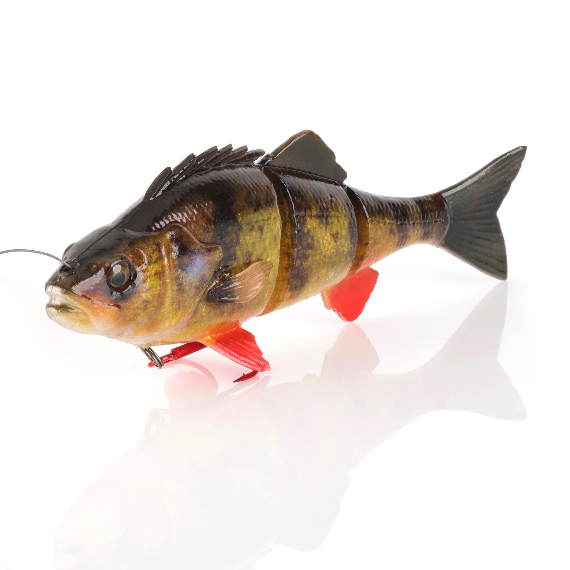 4D Yellow Perch - Image 5