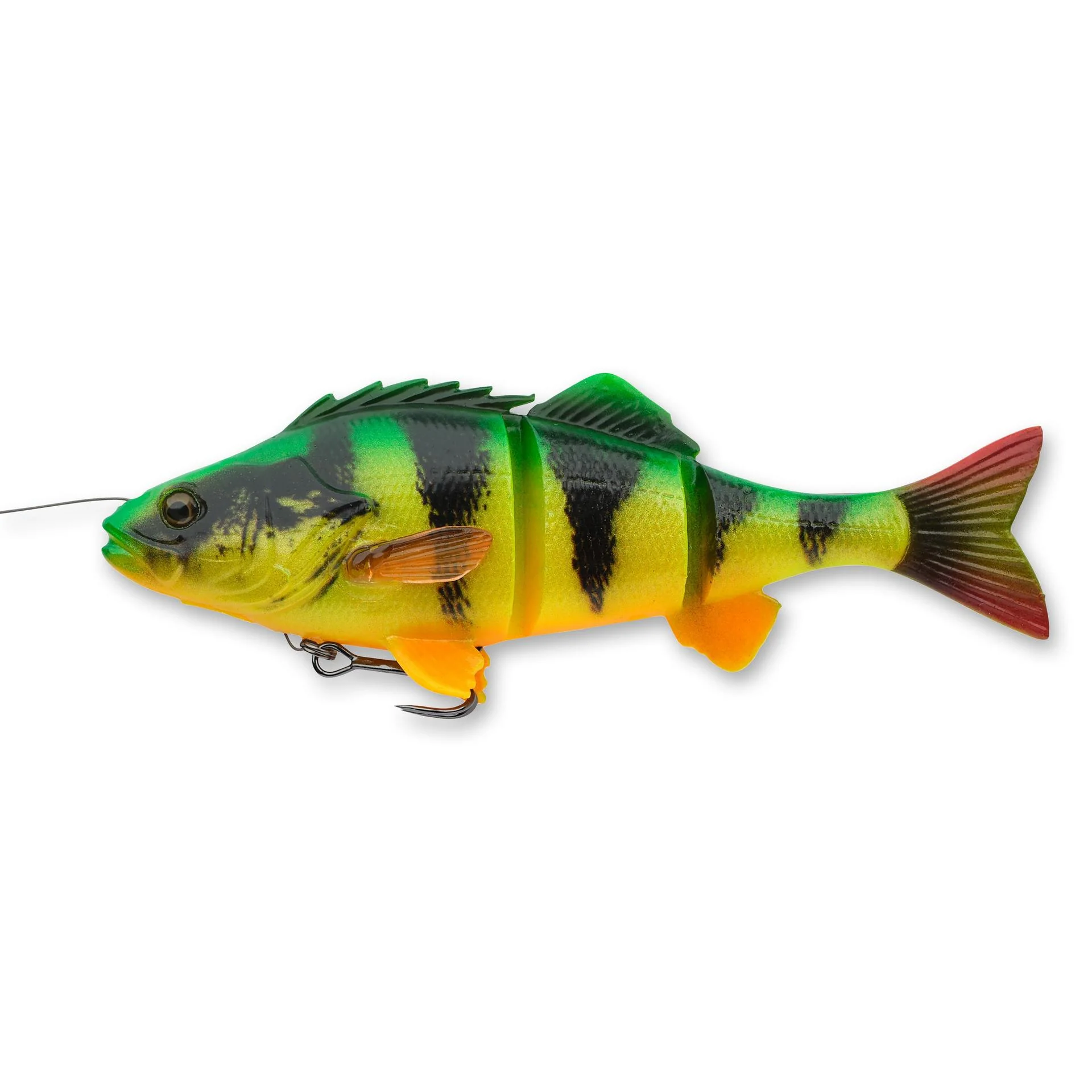 4D Yellow Perch - Image 6