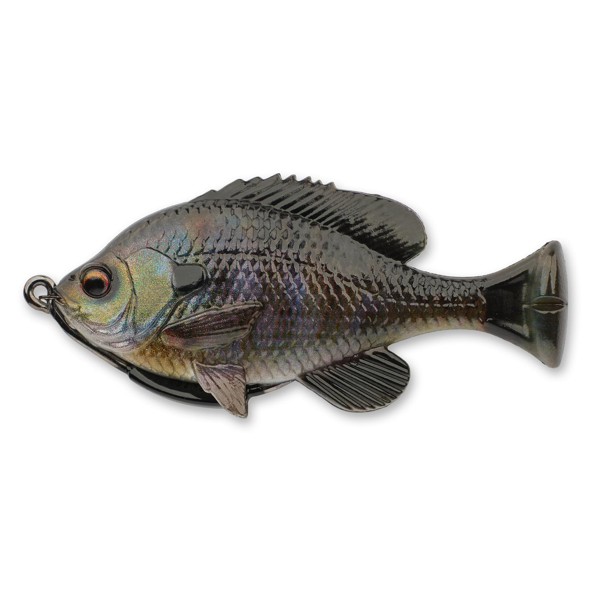 Pulse Tail Bluegill LB - Image 21