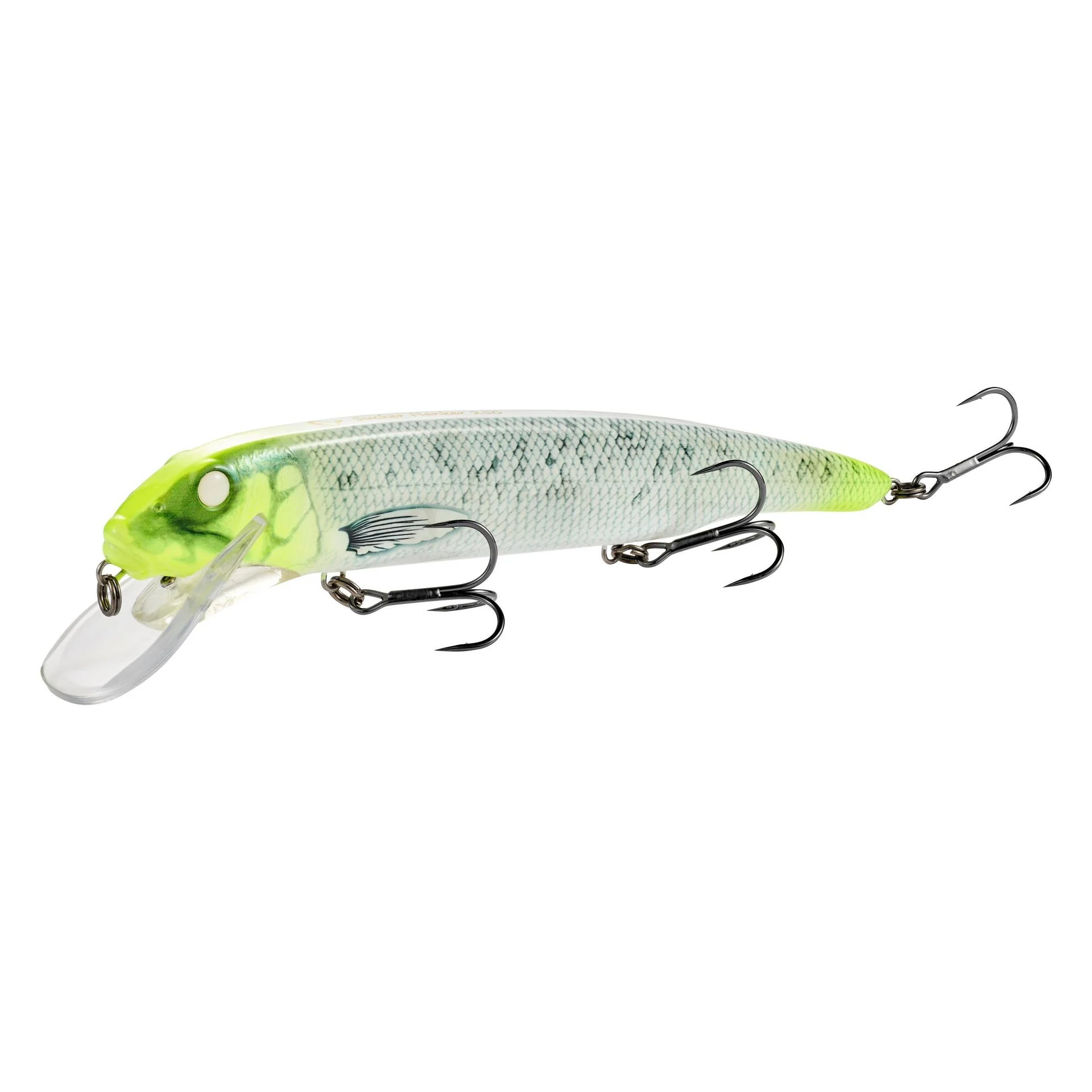 Sucker Flanker - Image 12