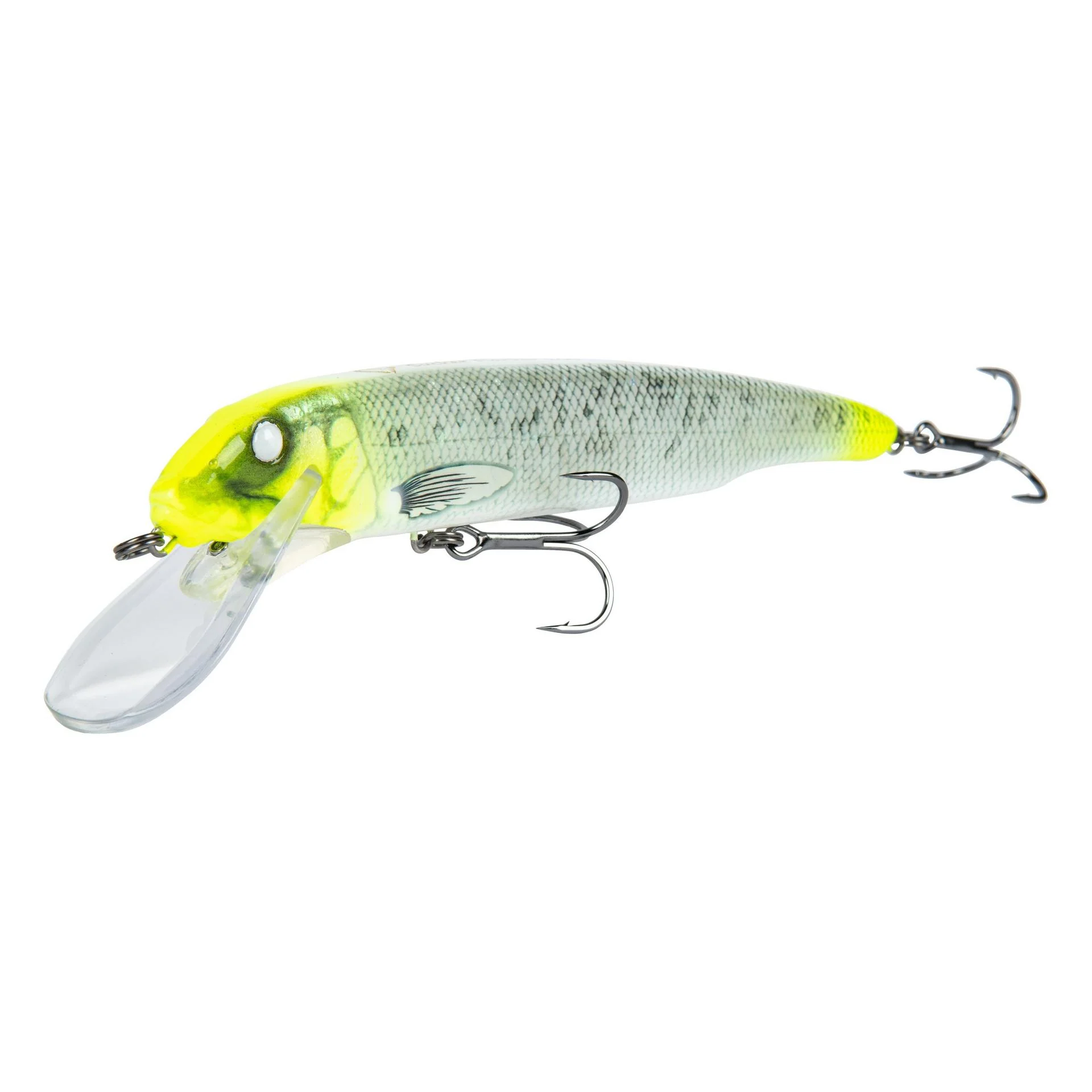 Sucker Flanker - Image 4
